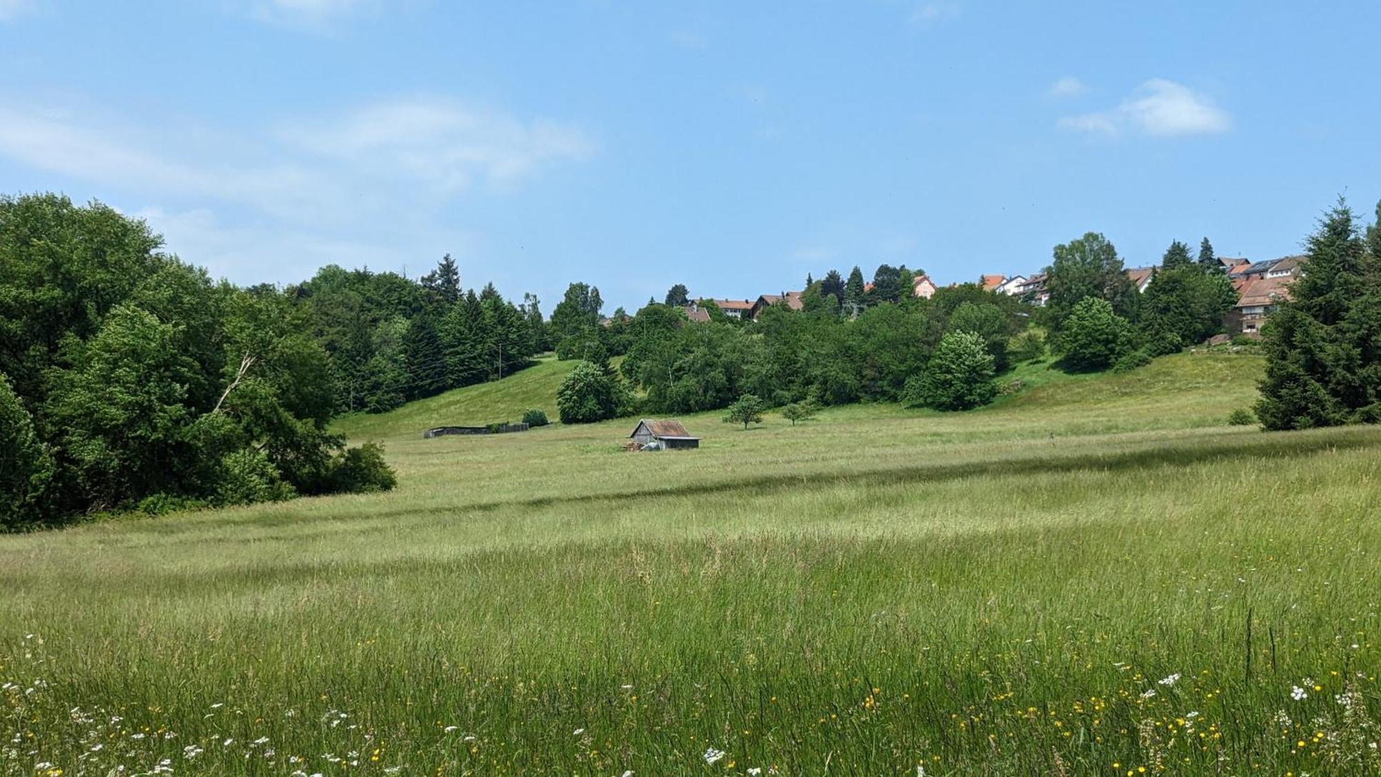 Apartamento Waldhorn Dobel Exterior foto