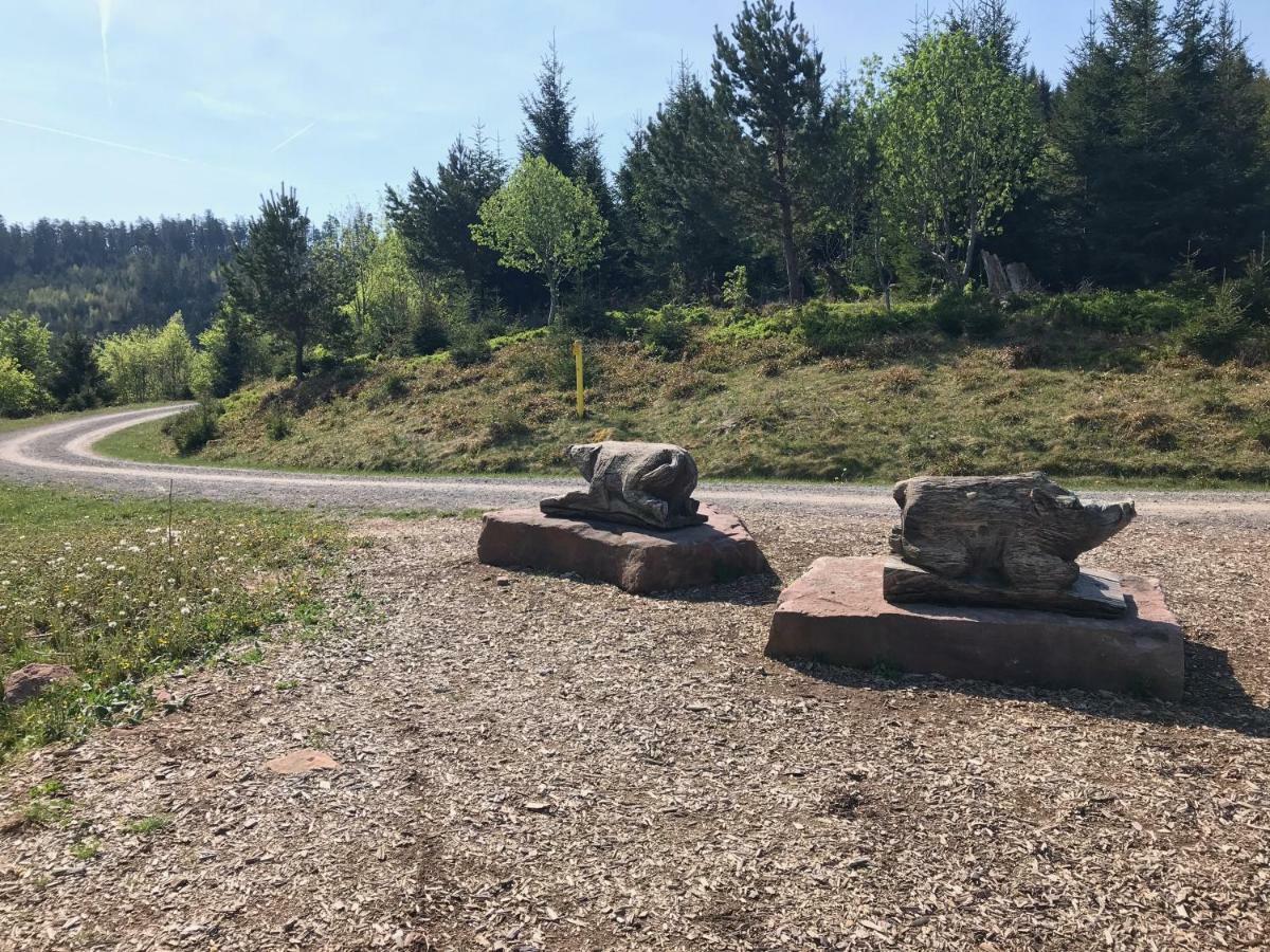 Apartamento Waldhorn Dobel Exterior foto