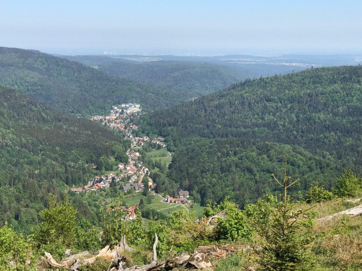 Apartamento Waldhorn Dobel Exterior foto